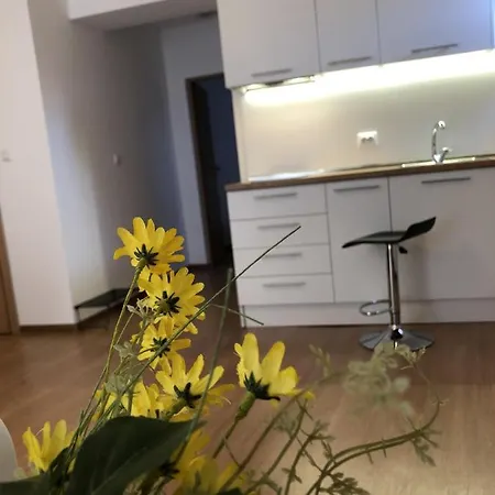 Elly 2* Gmina Pomorie